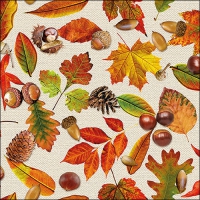 餐巾33x33厘米 - Autumn Festival 