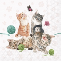 餐巾33x33厘米 - Playing Kitten 