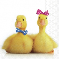 Servetten 33x33 cm - Little ducks 