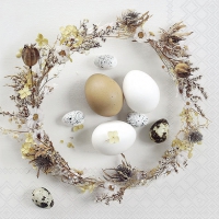 Servietten 33x33 cm - Eggs 
