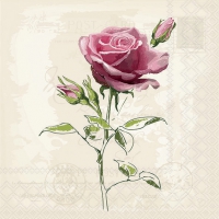 Serviettes 33x33 cm - Vintage rose 