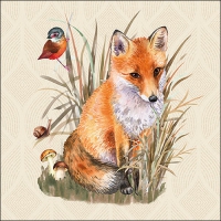 Napkins 33x33 cm - Foxy 