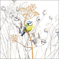 Napkins 33x33 cm - Sweet little bird 