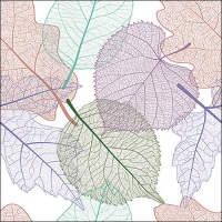 Napkins 33x33 cm - Skeleton leaves 