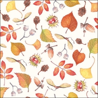 Napkins 33x33 cm - Autumn details 
