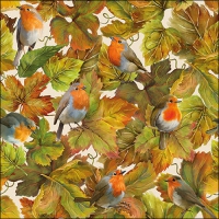 Napkins 33x33 cm - Hidden robins 