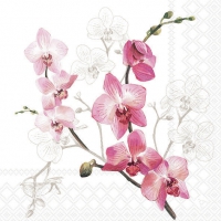 Servietten 33x33 cm - Orchid 