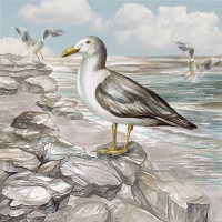 Servietten 33x33 cm - Seagull on the shore 