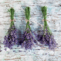 Салфетки 33x33 см - Lavender Bouquets 