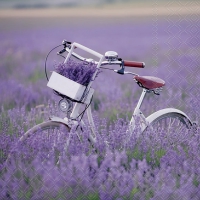 Салфетки 33x33 см - Bike In Lavender Field 
