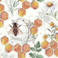 Napkins 33x33 cm - Honeycomb 
