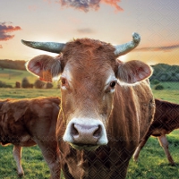 Servetten 33x33 cm - Cow in sunset 