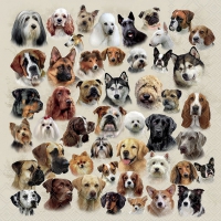 Салфетки 33x33 см - Collection Of Dogs 