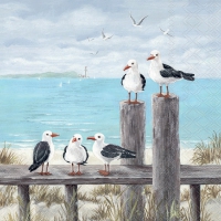 Serviettes 33x33 cm - Seagulls on the dock 