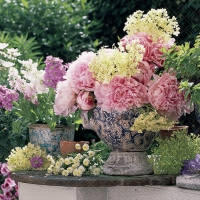 Serviettes 33x33 cm - Potted flowers 