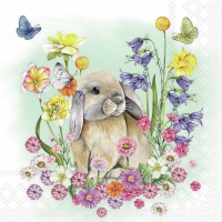 Napkins 33x33 cm - Little rabbit 