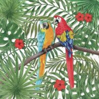 Serviettes 33x33 cm - Parrots 