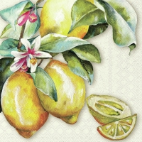 Serviettes 33x33 cm - Sunny lemon 