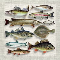 Servietten 33x33 cm - Fish variety 