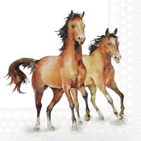 Servietten 33x33 cm - Wild horses 