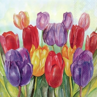 餐巾33x33厘米 - Colourful tulips 