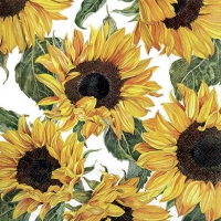 Servilletas 33x33 cm - Sunflowers blossoming 