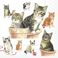 Servietten 33x33 cm - Cute kittens 