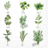 Servilletas 33x33 cm - Herb selection 