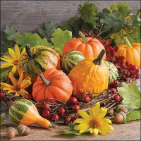 Servilletas 33x33 cm - Pumpkin varieties