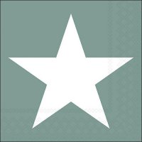 Serviettes 33x33 cm - Star sage