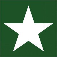 Serviettes 33x33 cm - Star green