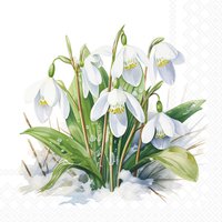 餐巾33x33厘米 - Blooming snowdrops