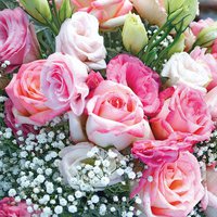 Napkins 33x33 cm - Tilly