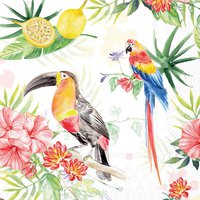 Napkins 33x33 cm - Tropical birds