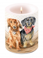 decorative candle - Dachshund