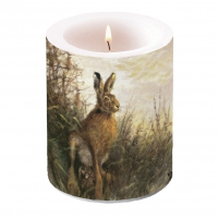 装饰蜡烛 - Portrait Of Hare