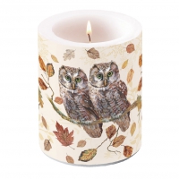vela decorativa - Owl Couple