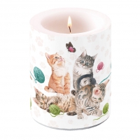 bougie décorative - Playing Kitten