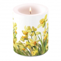 decorative candle - Golden Daffodils