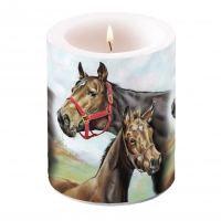 decorative candle - Horse Love