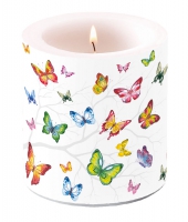 Dekorkerze klein - Colourful Butterflies