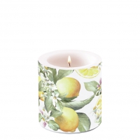 Decorative candle small - Limoni