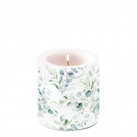Decorative candle small - Candle small Eucalyptus all over