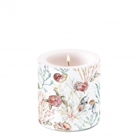 Bougie décorative petite - Candle small Sea animals
