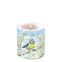 Dekorkerze klein - Blossom time