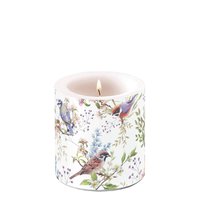 Dekorkerze klein - Busy birds