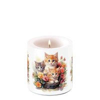 装饰蜡烛小 - Kittens in basket