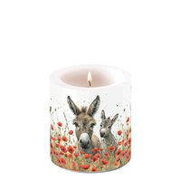 装饰蜡烛小 - Lilly & Lou