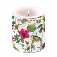 Bougie décorative moyenne - Candle Medium Tropical Jungle