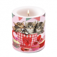 Decoratieve kaars medium - Candle Medium Cats in Tea Cups